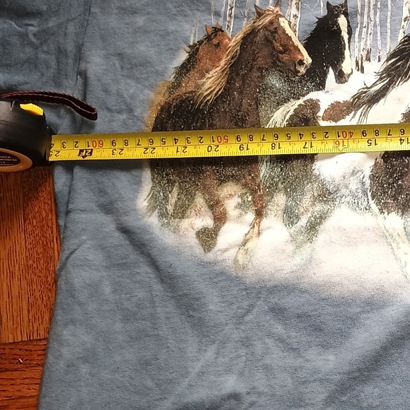 The Mountain Vintage 1999 Wild Wings Tee Shirt Chris Cummings XL 25 p2p x 29 - Picture 7 of 14